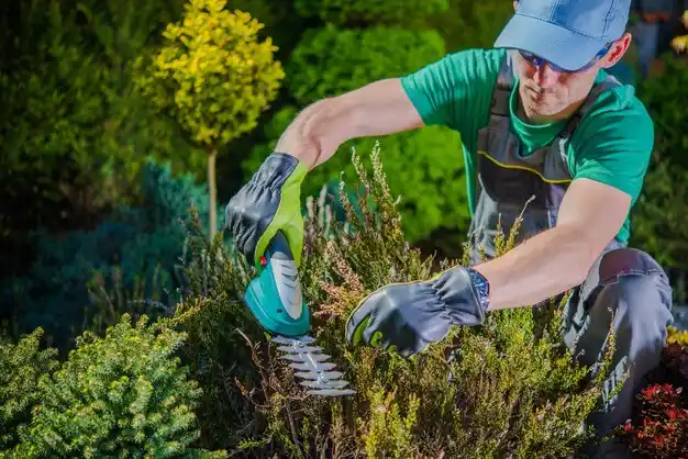 landscaping services Tonawanda